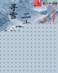 寻雪二十四剑