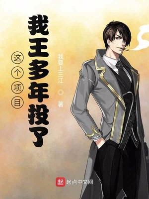 这个项目,我王多年投了