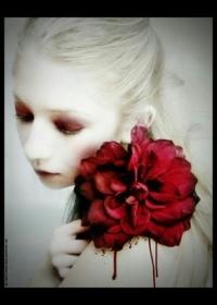 夜妻归来之恋上我的吸血姬