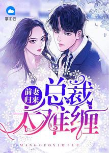 前妻归来:总裁大人太难(乔楠陆明睿)